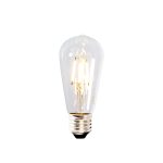 Shaoxing Xinjian Vintage Colorful Decorative Led Filament Clear ST64 (2)