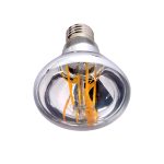 Shaoxing Xinjian Vintage Colorful Decorative Led Filament Silver R80 (6)